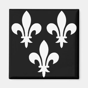 Aimant Bannière médiévale de France
