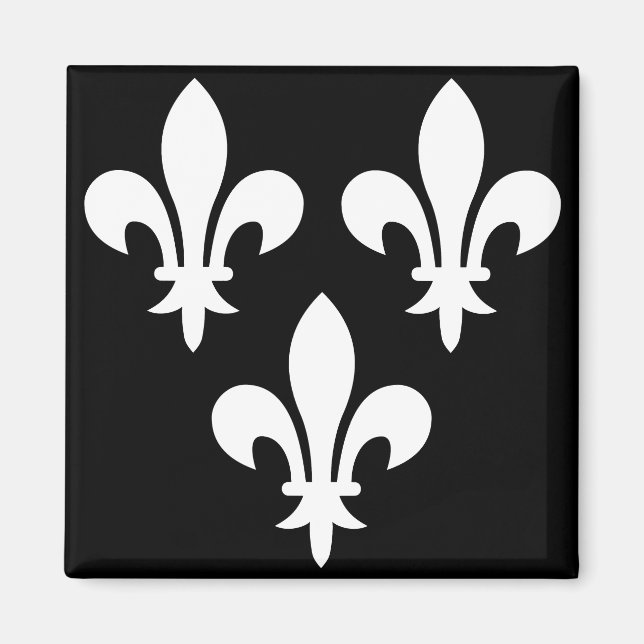 Aimant Bannière médiévale de France (Devant)