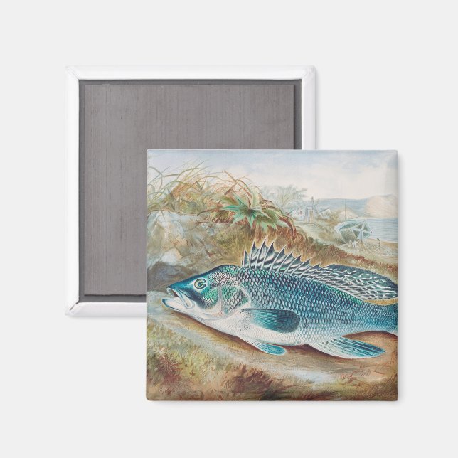 Aimant Bar commun par S.A. Kilbourne, Poisson Vintage (Recto/Verso)