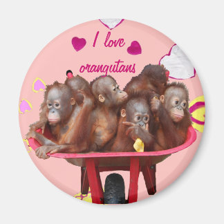 Aimant Baril de bébés d'orang-outan de singes