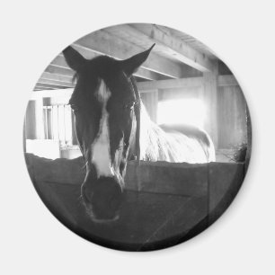 Aimant Barn Horse