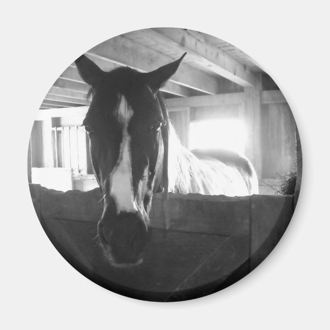 Aimant Barn Horse (Devant)