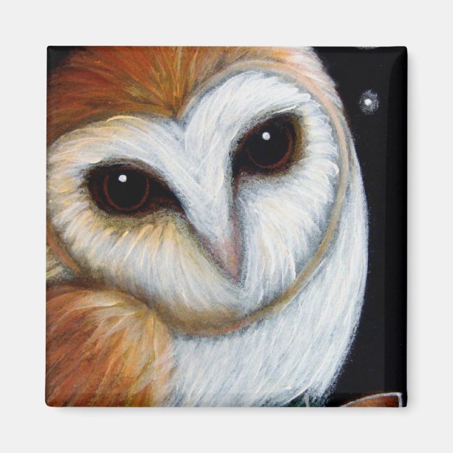 Aimant BARN OWL FERMER l'aimant (Devant)