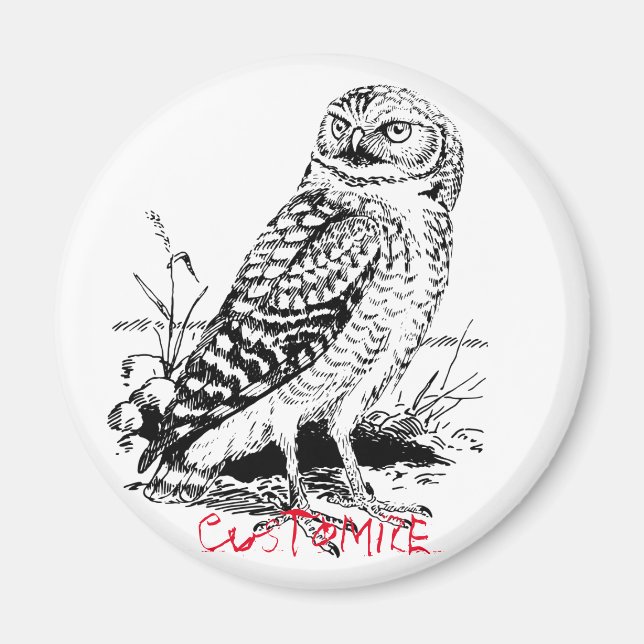 Aimant Barne Owl Thunder_Cove (Devant)