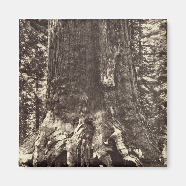 Aimant Base du géant du Grizzly, du livre 'Le Yosemite (Devant)