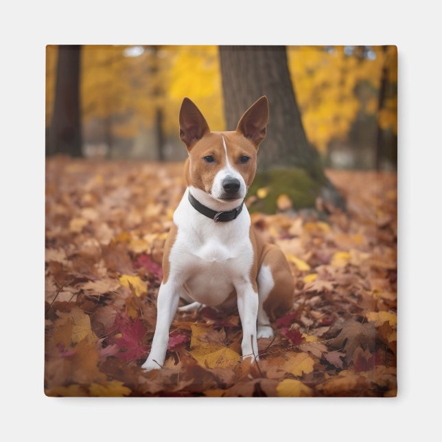 Aimant Basenji en automne Feuilles automne Inspiration (Devant)