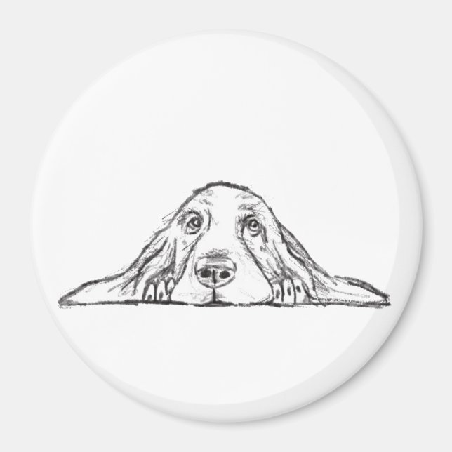 Aimant basset blanc (Devant)
