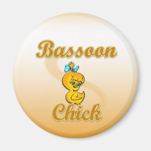 Aimant Bassin