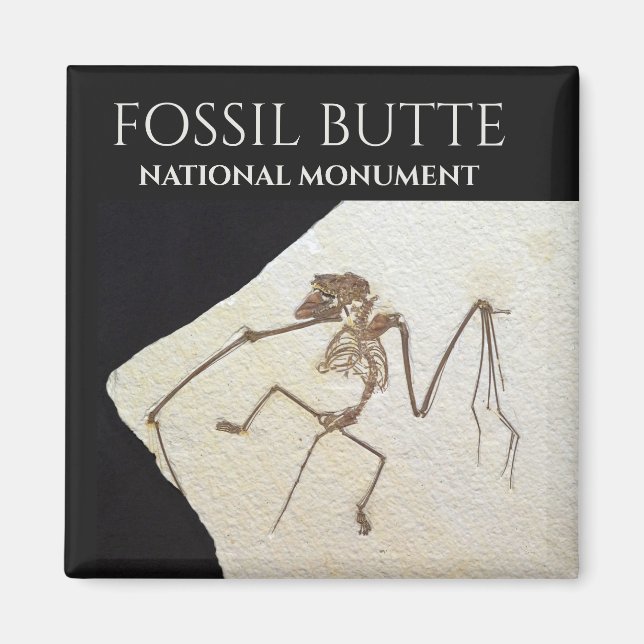 Aimant Bat Fossil, le monument national de Fossil Butte (Devant)