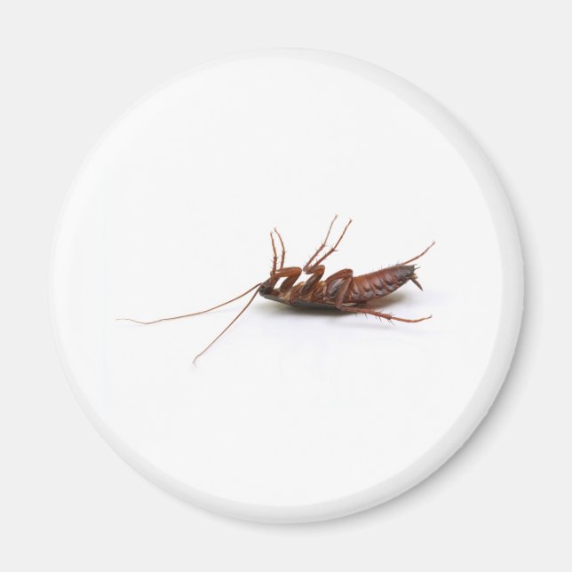 Aimant Bateau mort (Devant)