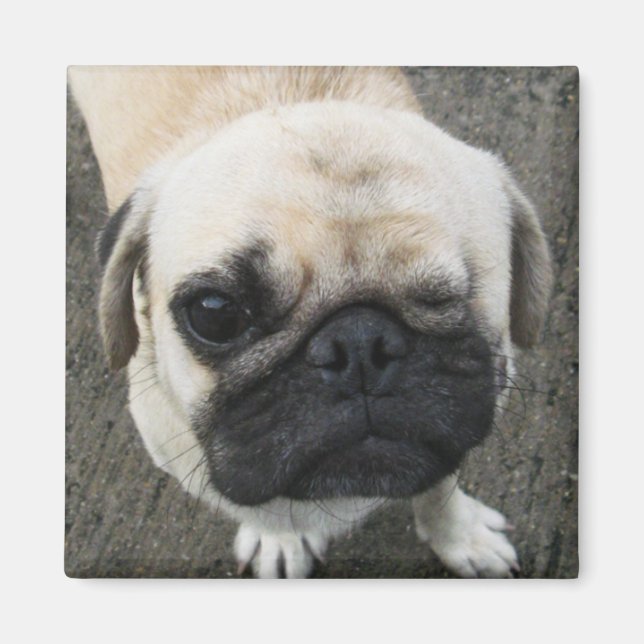 Aimant Bauwk ... Soi Dog, Thaïlande (Devant)