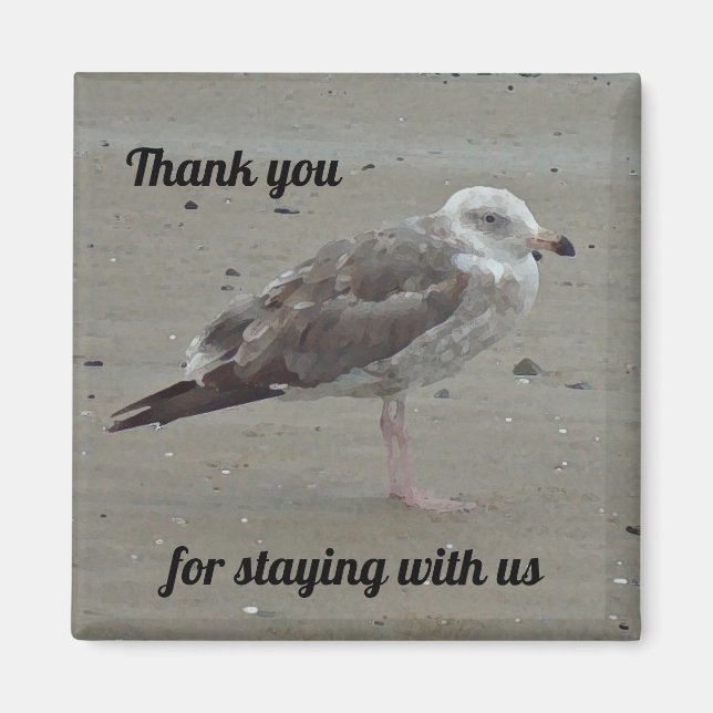 Aimant Beach House Location unique Seagull Guest Merci in (Devant)