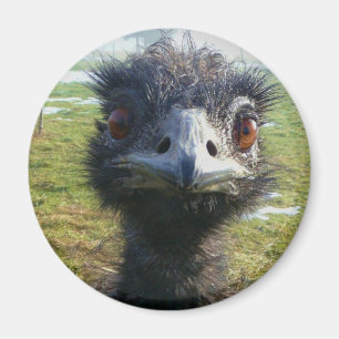 Aimant Beady Eyes EMU