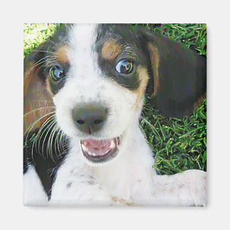 Aimant Beagle