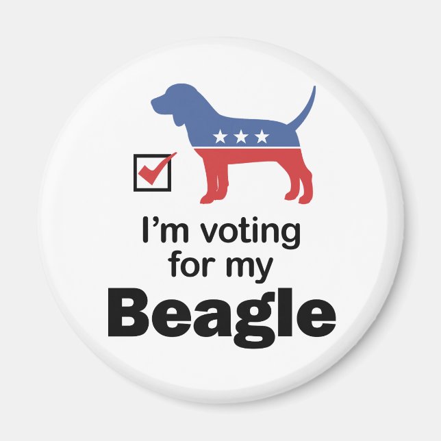 Aimant Beagle de vote (Devant)
