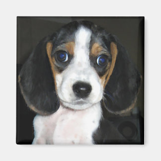 Aimant Beagle magnétique 2