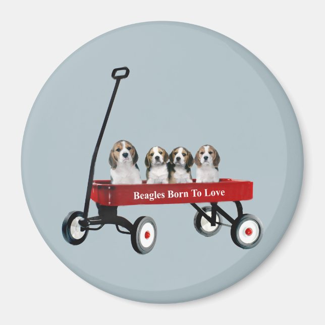 Aimant Beagles dans l'aimant Wagon (Devant)