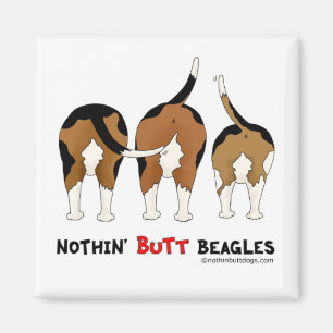 Aimant Beagles de boutons