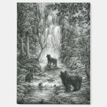 Bear Cubs Visit the Falls