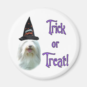 Aimant Beared Collie Trick