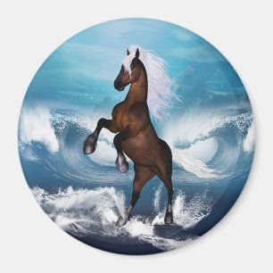 Aimant Beau cheval avec