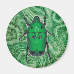 Aimant Beau coléoptère vert sur Malachite