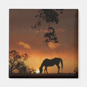 Aimant Beau lever de soleil de jour avec cheval