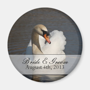 Aimant Beau Mariage de cygne muet
