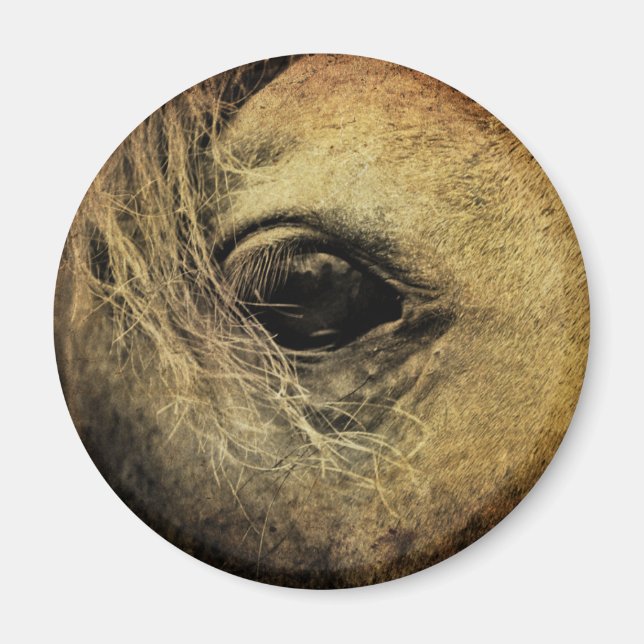 Aimant Beau oeil de Cheval Noir (Devant)