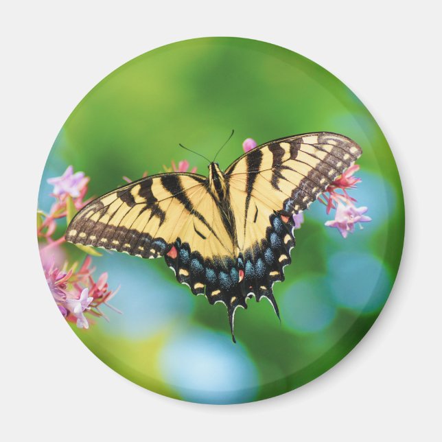 Aimant Beau papillon Swallowtail sur de jolies fleurs (Devant)