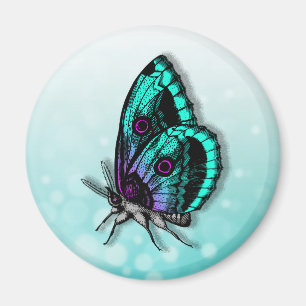 Aimant Beau papillon Turquoise