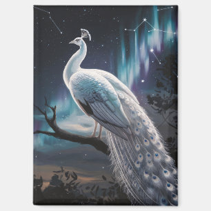 Aimant Beau Peacock Blanc Aurora Borealis Pittoresque