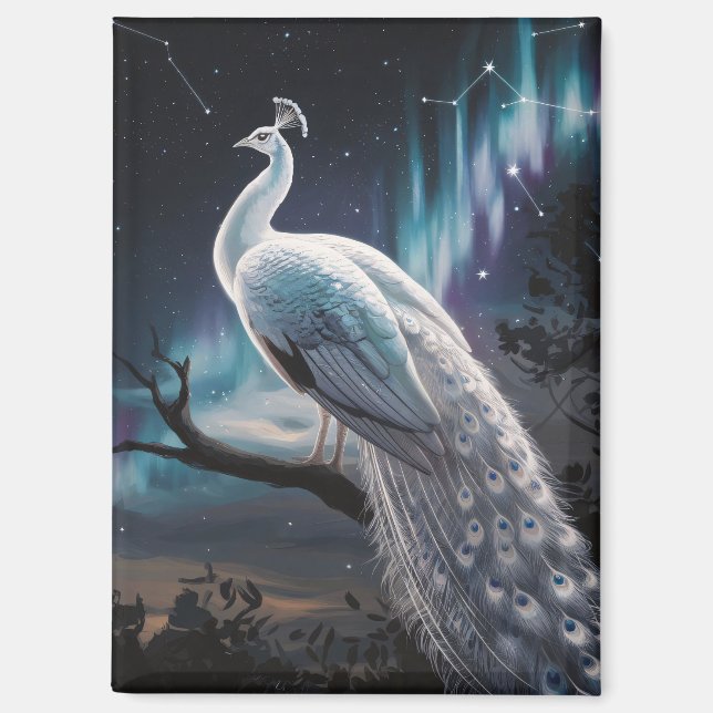Aimant Beau Peacock Blanc Aurora Borealis Pittoresque (Recto)