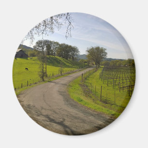 Aimant Beau vignoble en Napa Valley California