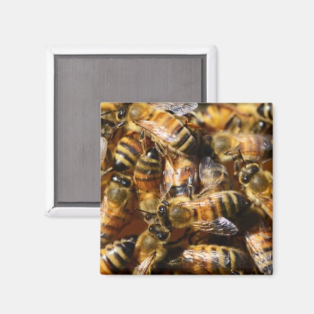 Aimant Beaucoup d'abeilles de miel (Recto/Verso)