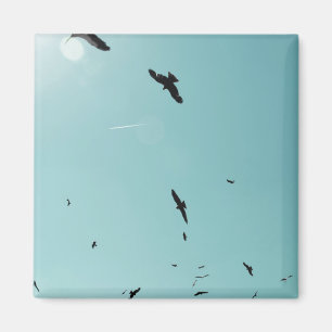 Aimant Beaucoup d'oiseaux et un controle