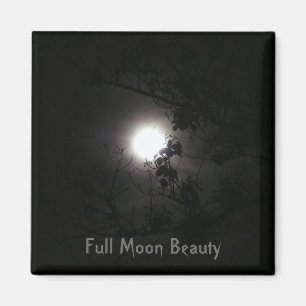 Aimant Beauté de Pleine lune