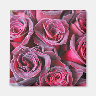 Aimant Beauté Velvet