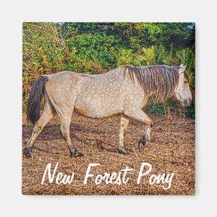 Aimant Beautiful Equines Cheval-lover's Gift