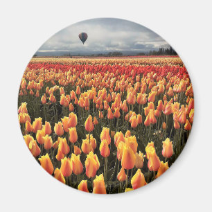 Aimant Beautiful Tulip Field avec Hot Air Balloon, Oregon
