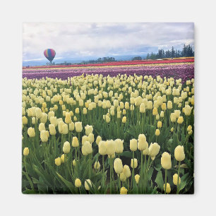 Aimant Beautiful Tulip Field avec Hot Air Balloon, Oregon