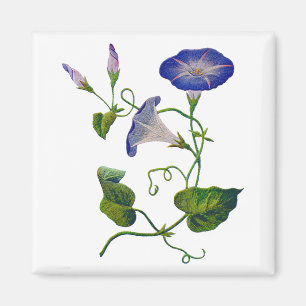 Aimant Beaux souvenirs du matin brodés par le bleu