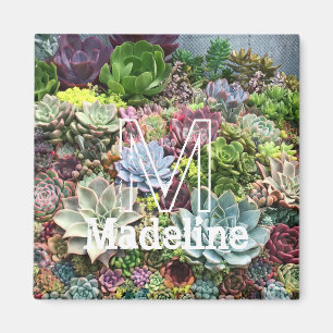 Aimant Beaux succulents