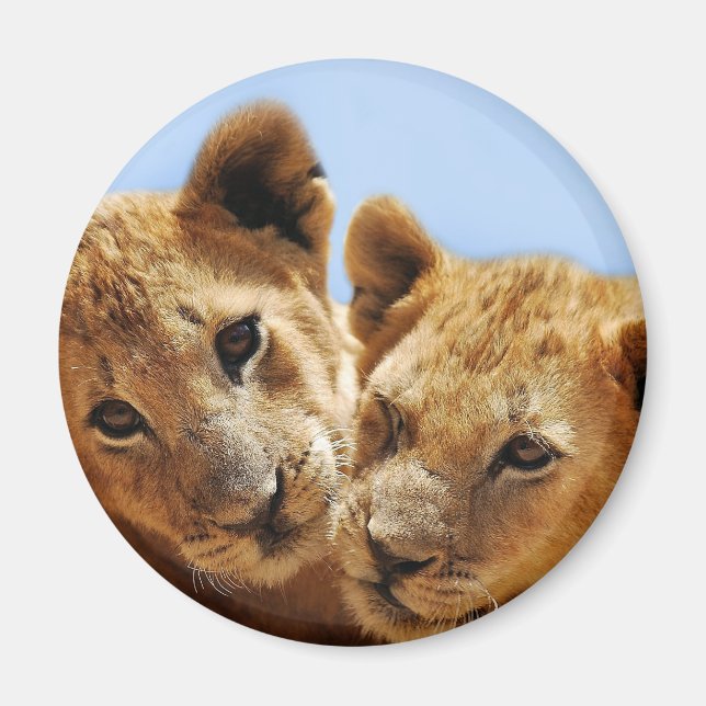 Aimant Bébé amour lion (Devant)
