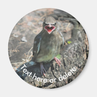 Aimant Bébé cirage Oiseau Nature personnalisée