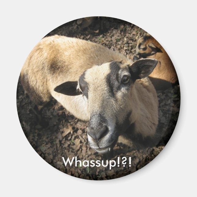 Aimant Bébé du ranch de chêne noir (Devant)