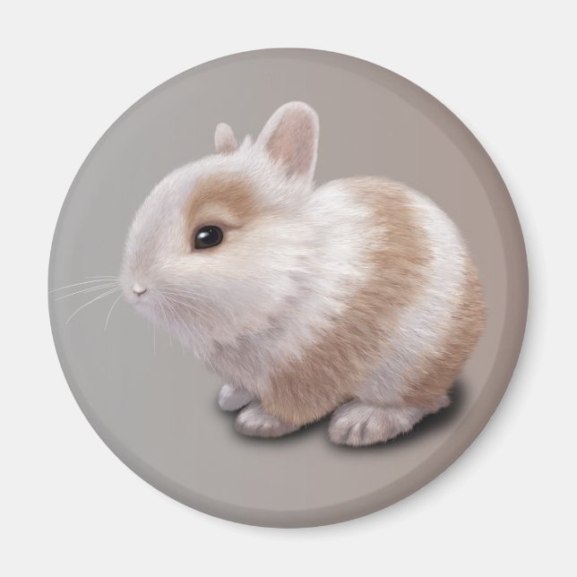 Aimant Bébé Lapin (Devant)