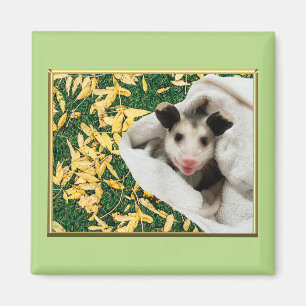 Aimant Bébé opossum adorable et doux