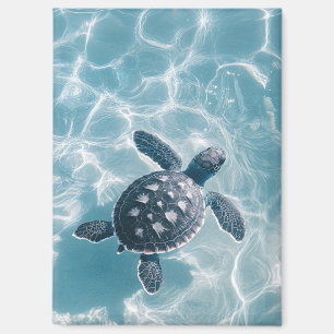 Aimant Bébé tortue de mer dans l'eau claire