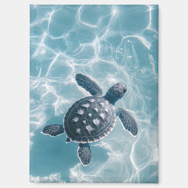 Aimant Bébé tortue de mer dans l'eau claire (Recto)